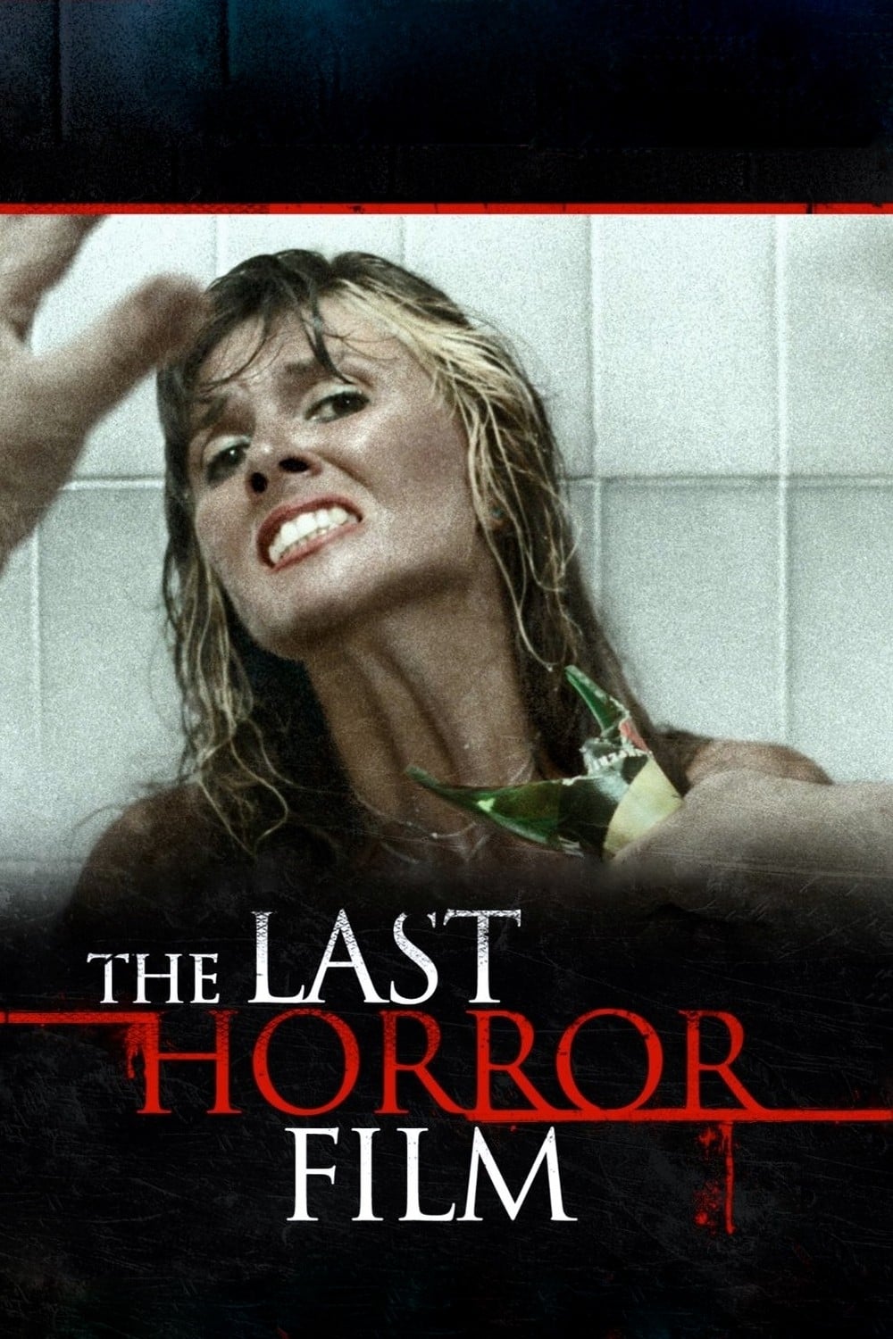 Постер The Last Horror Film